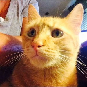 Meet your Posher, Kathleen